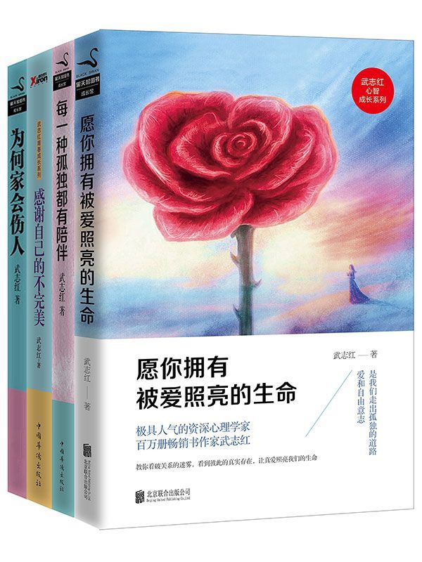 武志红经典作品合集：为何家会伤人、感谢自己的不完美、每一种孤独都有陪伴、愿你拥有被爱照亮的生命(套装共4册） (黑天鹅图书成长馆)