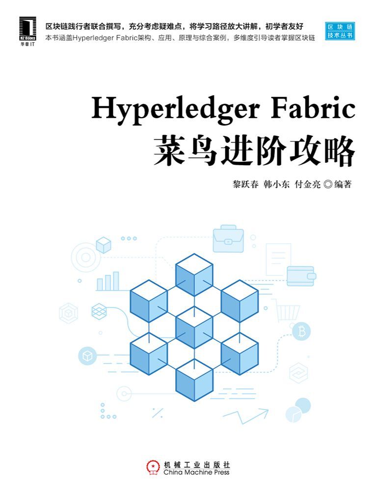 Hyperledger Fabric菜鸟进阶攻略 (区块链技术丛书)