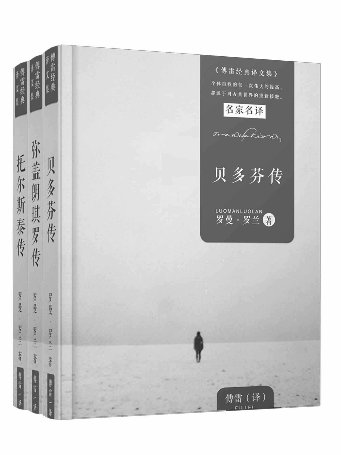 巨人三传（傅雷经典译本，贝多芬传、弥盖朗琪罗传、托尔斯泰传）