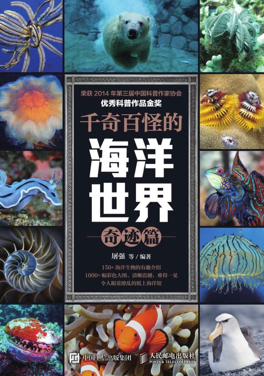 千奇百怪的海洋世界 奇迹篇