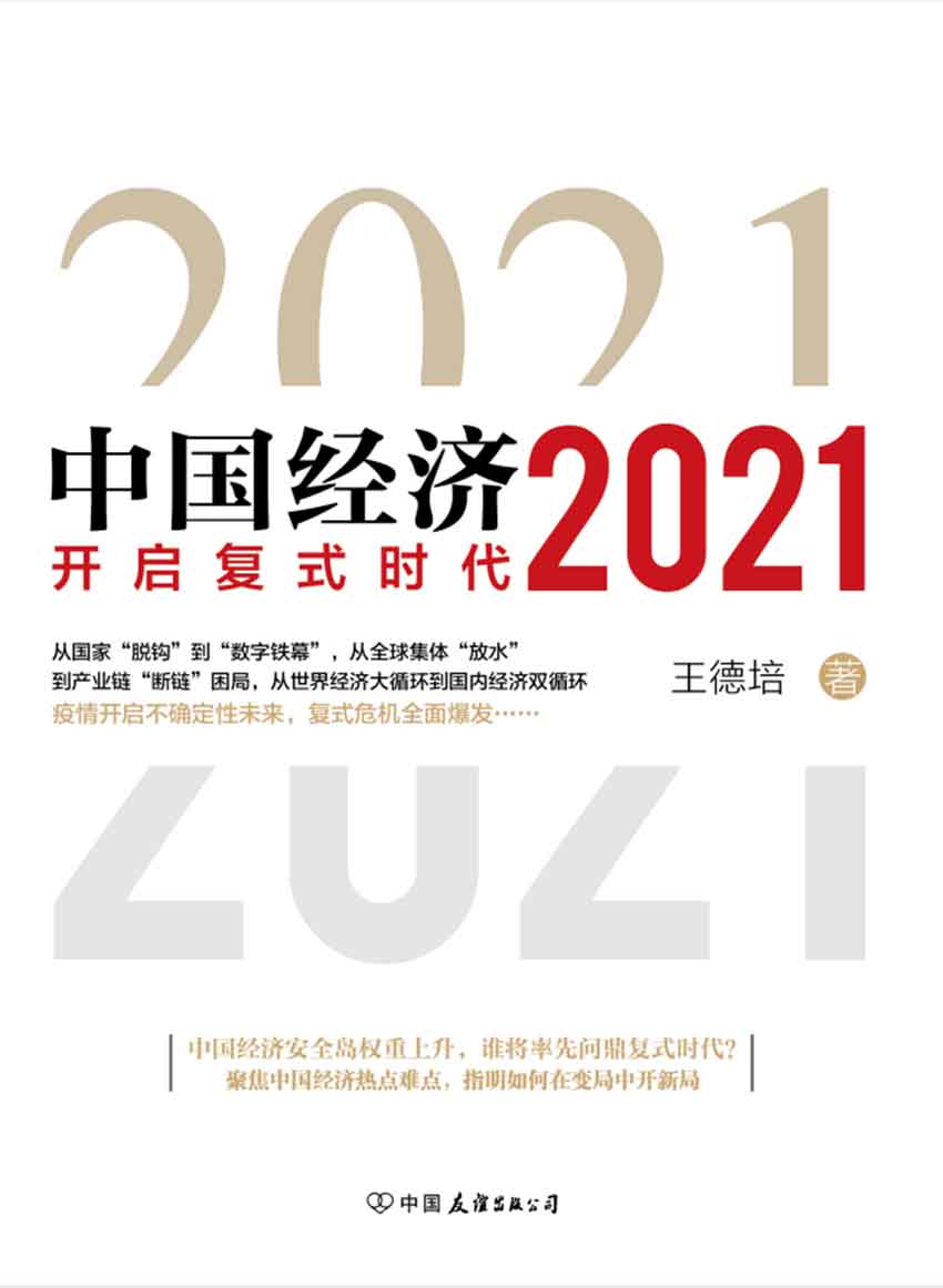 中国经济2021（中国经济安全岛权重上升，谁将率先问鼎复式时代？聚焦中国经济热点难点，指明如何在变局中开新局）