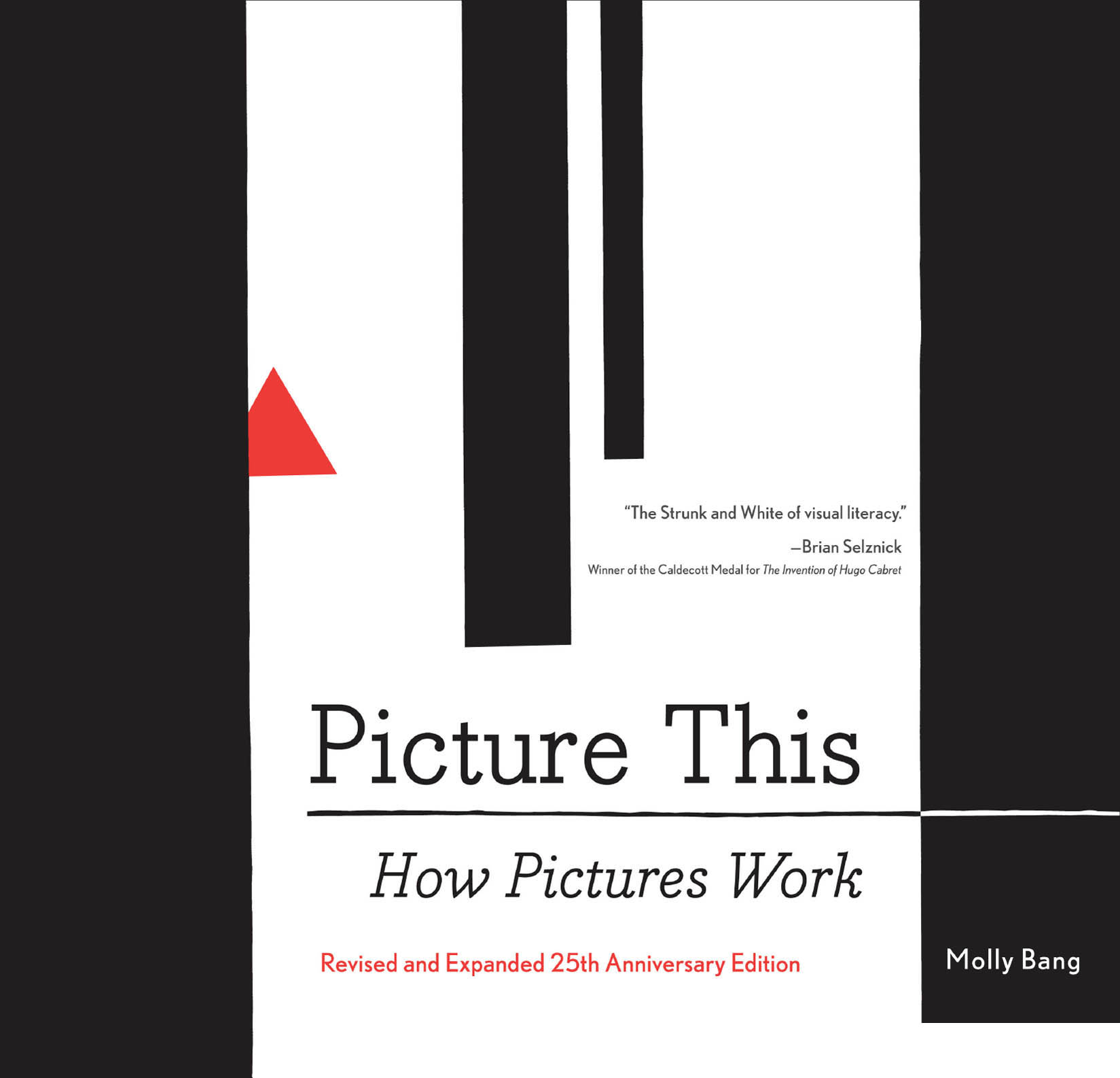 Picture This: How Pictures Work