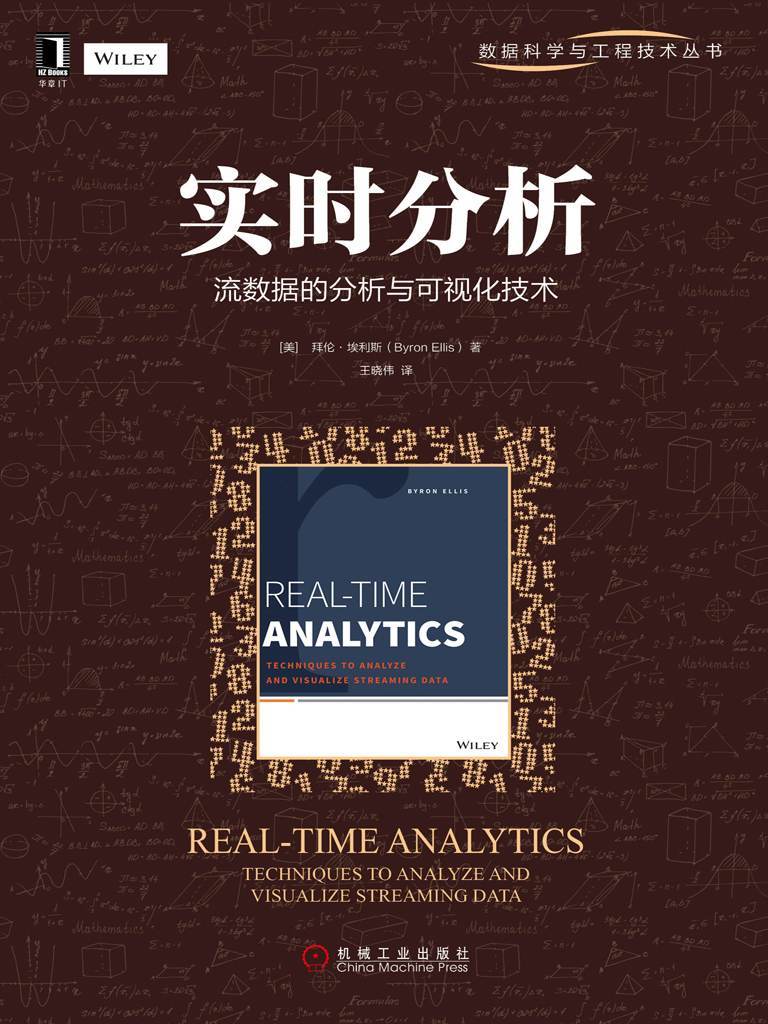 实时分析：流数据的分析与可视化技术 (数据科学与工程技术丛书)