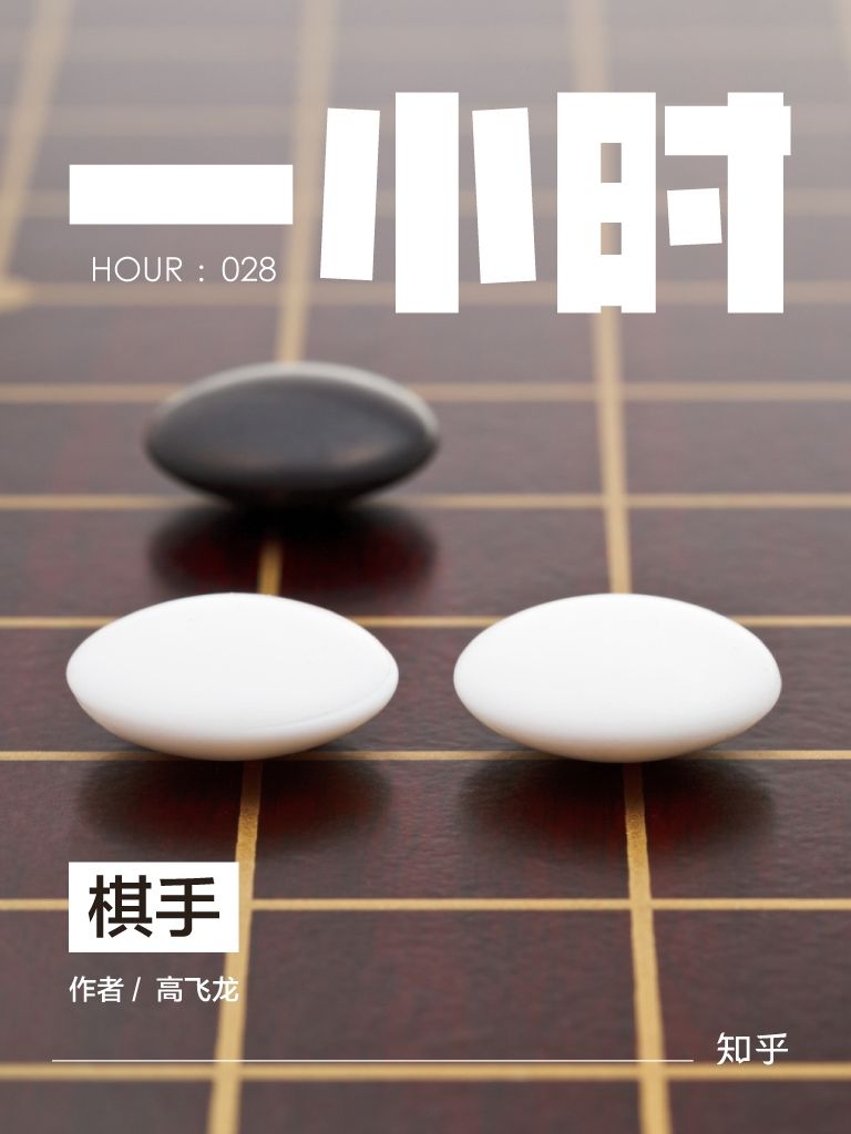 棋手：知乎高飞龙作品 (知乎「一小时」系列)