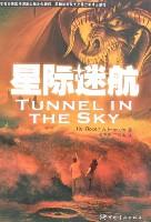 星际迷航Tunnel in the sky