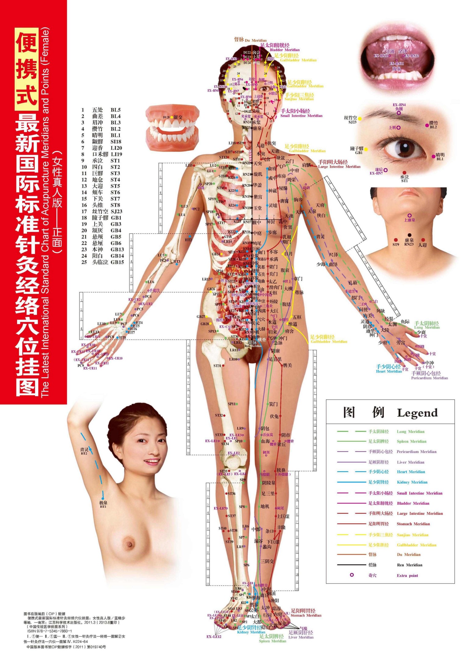 便携式最新国际标准针灸经络穴位挂图（女性真人版） (中国传统医学挂图系列)