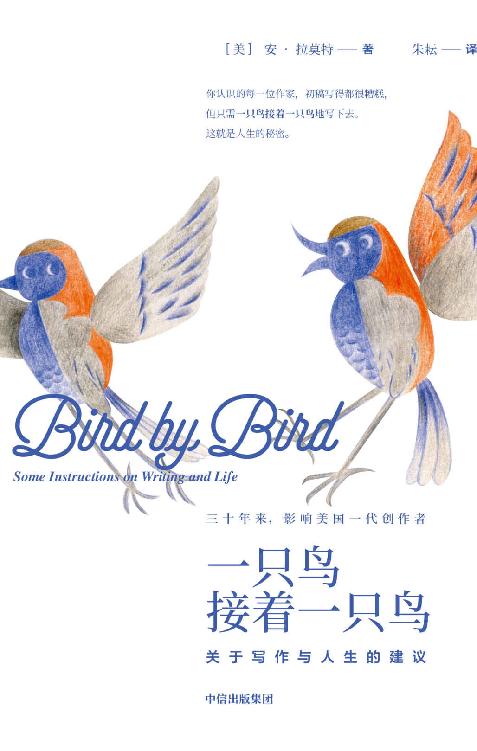 一只鸟接着一只鸟：关于写作与人生的建议（畅销30年，影响美国一代创作者。关于写作，更关于生活。）