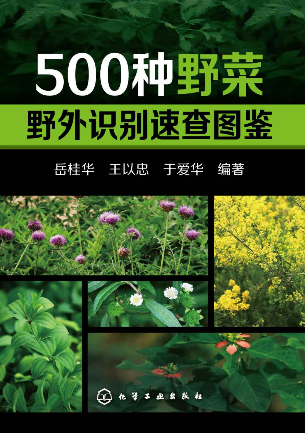 500种野菜野外识别速查图鉴