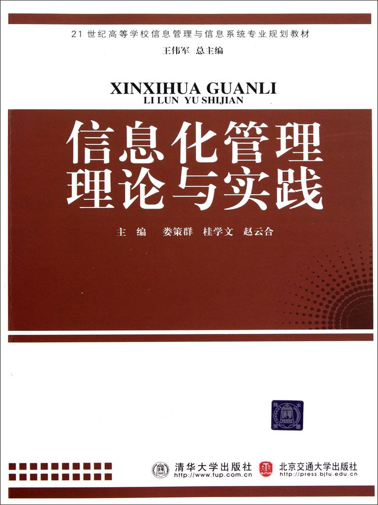 信息化管理理论与实践 (21世纪高等学校信息管理与信息系统专业规划教材)